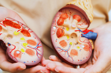 Untitled design (31)